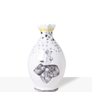 Z chalupy do hlavního města! "It wa snot me, honestly"